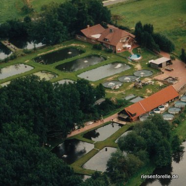 Luftbild unserer Fischzucht