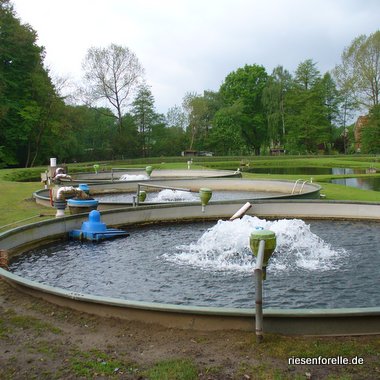 Große Rundbecken 