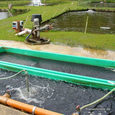Biofilter der hinteren Teichanlage