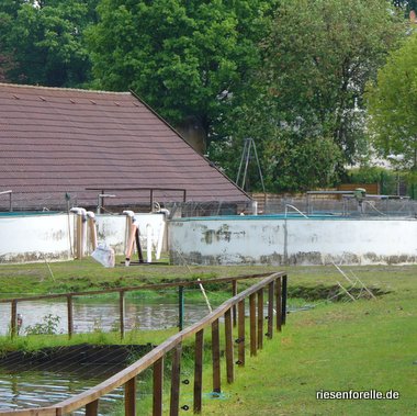 13 Rundbecken zu Aufzucht