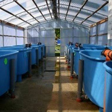 Unser Verkaufshalle f&uuml;r Biotop und Kaltwasserzierfische